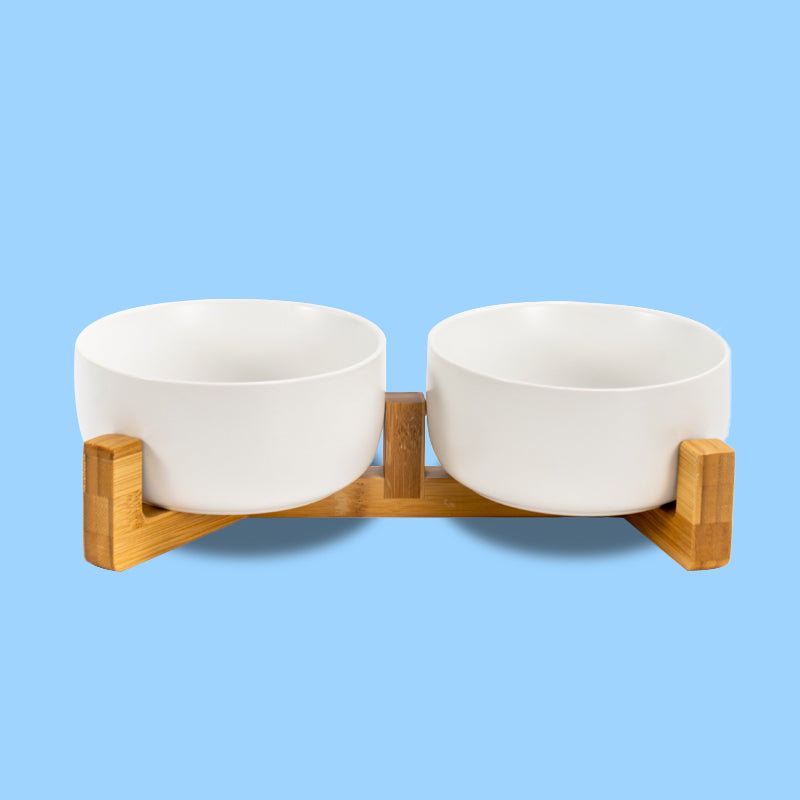 the front view of the white round ceramic dog bowl set in the blue background