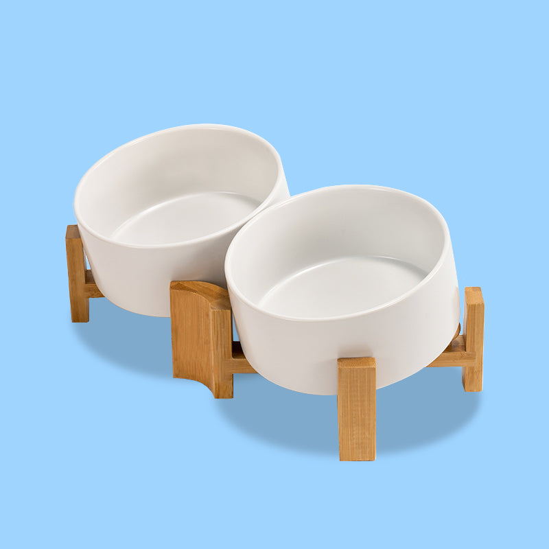 a set of white 15° tilted pet bowls in blue background