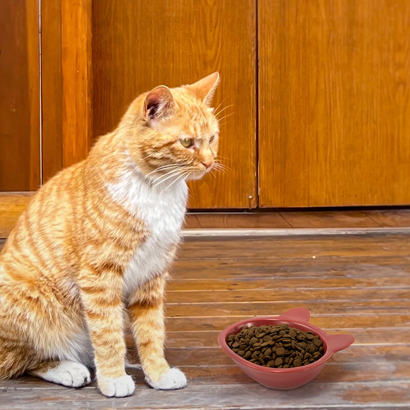 a red cat-shaped cat dish filled with food in front of a cat facing right