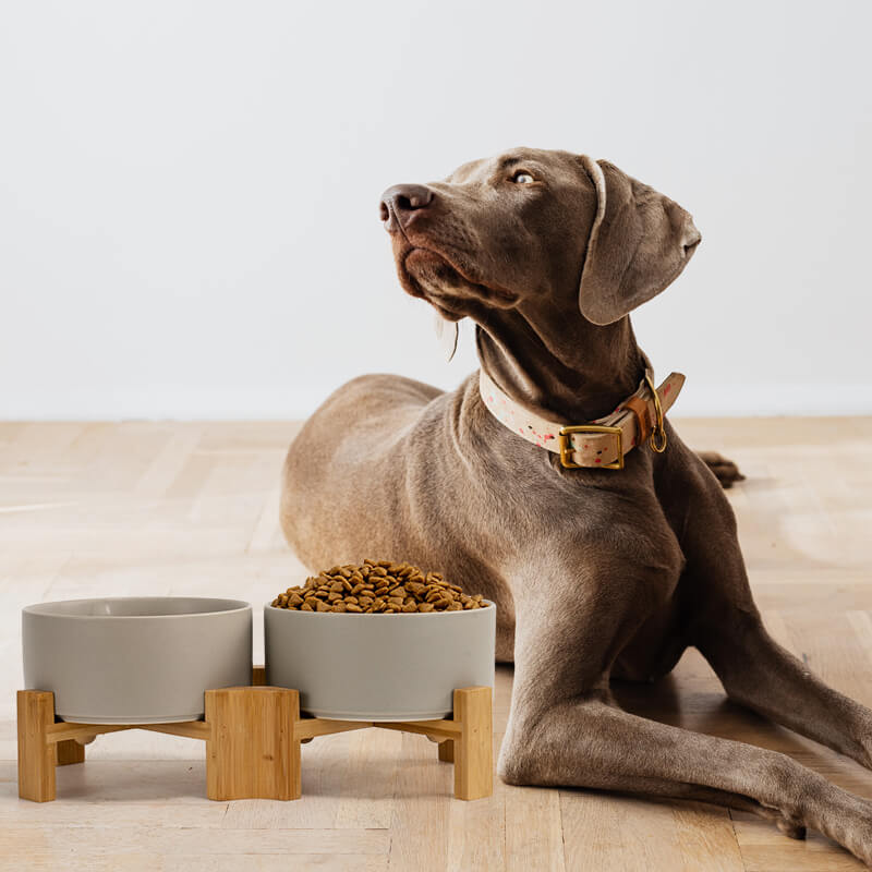 Frewinky Dog Bowls,Ceramic Dog-Food Bowl and Water Bowl Set for Medium  Sized Dogs,No Spill Non Skid Dog Bowl Mat and Tilted Double Pet Bowls,Set  of