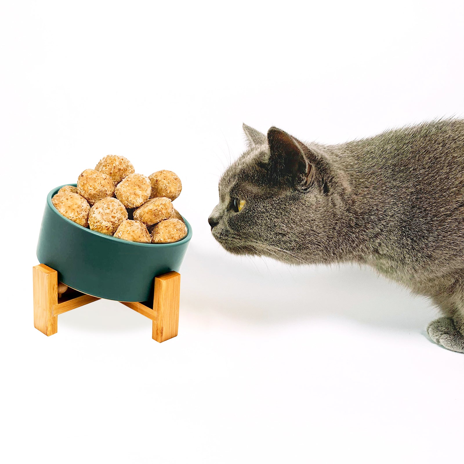 a cat tries to approach the green 15° tilted bowl with food
