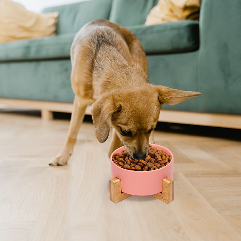 a tawny puppy is eating from an elevated pink pet bowl on the ground