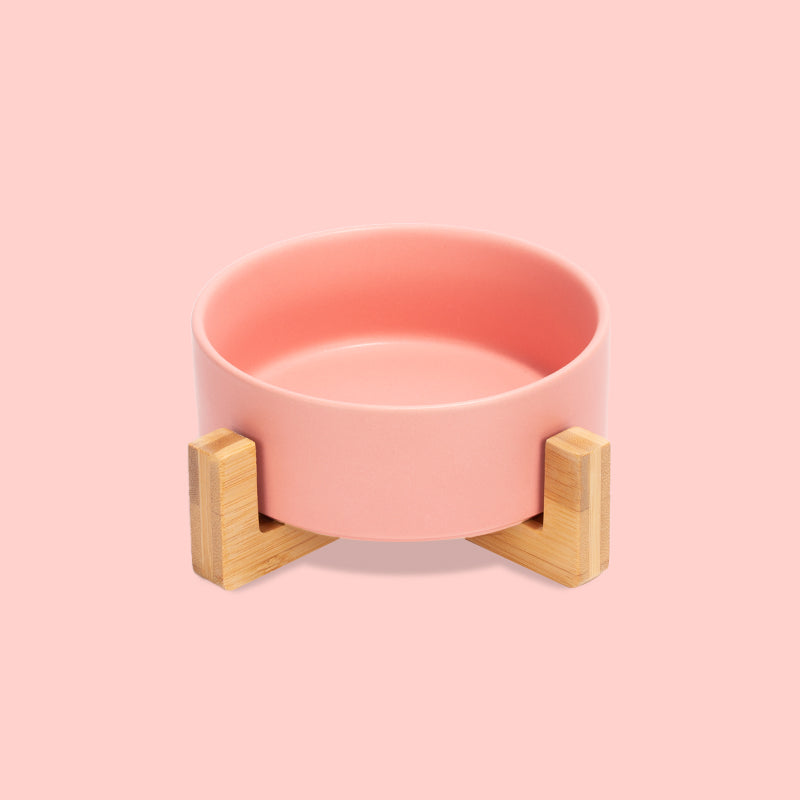 the front view of a cute pink ceramic pet bowl with stand in the pink background