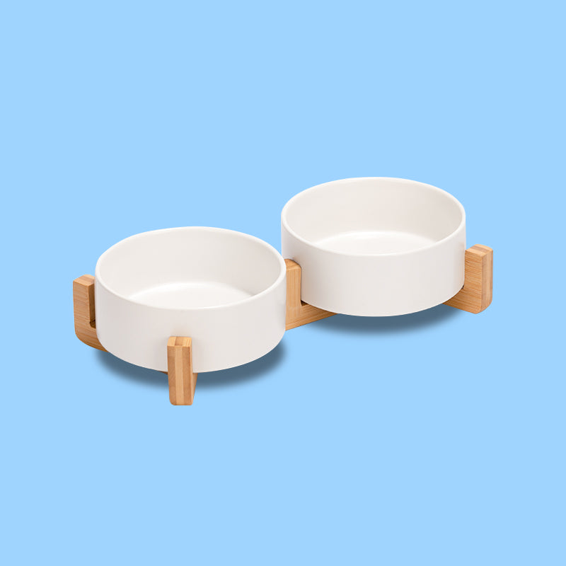 a cute white ceramic pet bowl set with stand on blue background