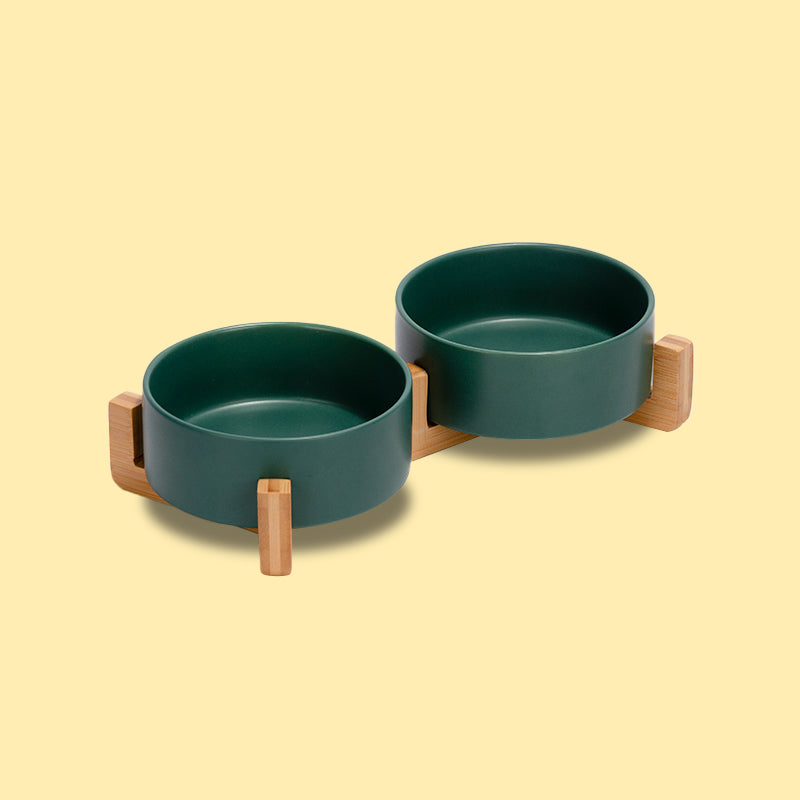 a cute green ceramic pet bowl set with stand on yellow background