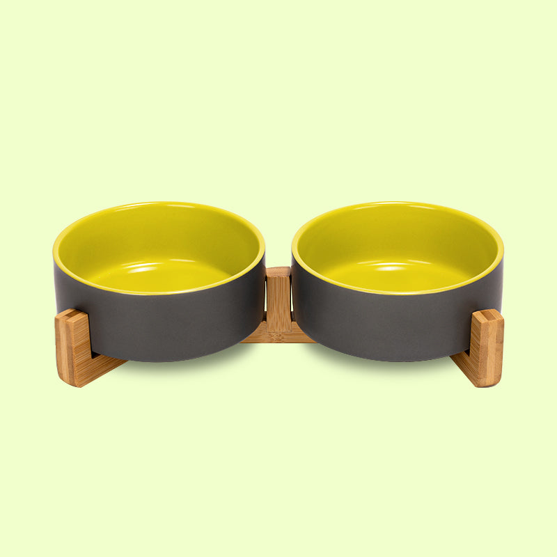 the front view of the grey-yellow clashing dog bowl set on the stand in the yellow background
