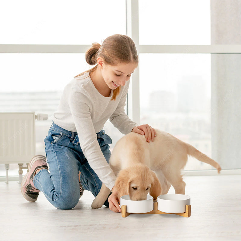 a golden retriever is eating the food in the white ceramic bowl set with the master beside him