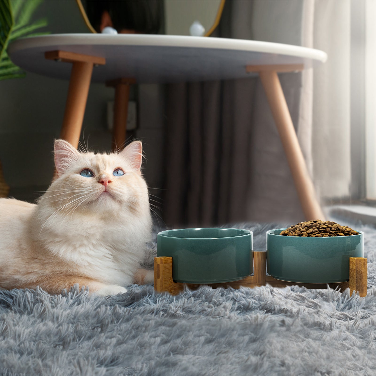 Stylish Dog Bowl Set