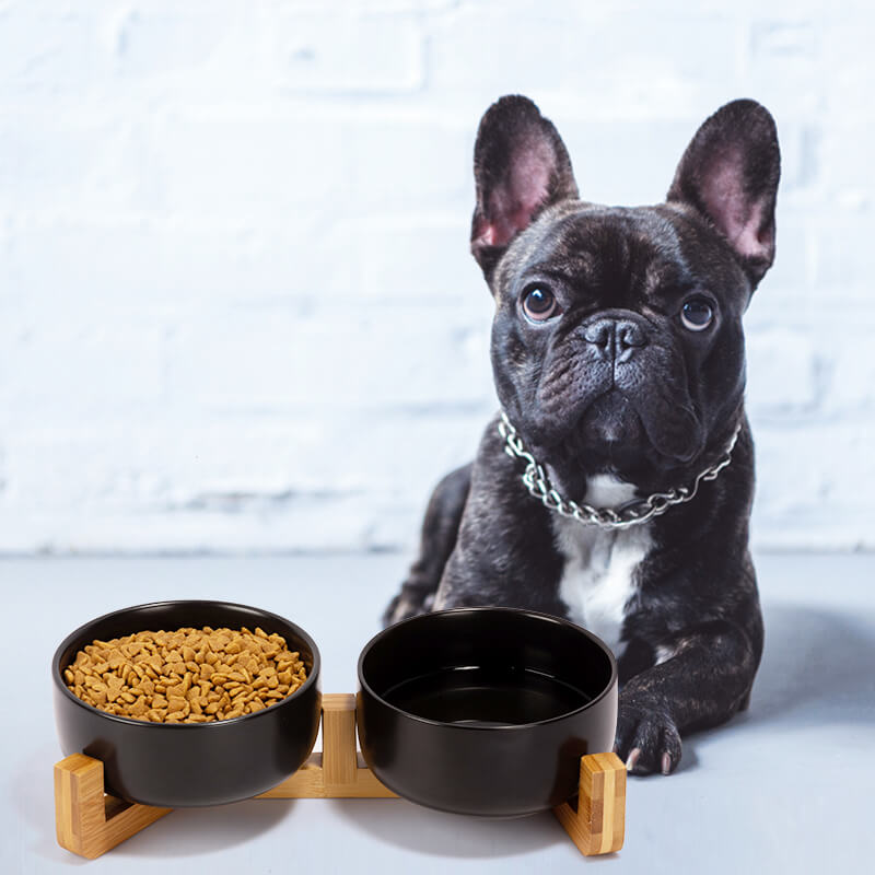 a set of black round ceramic dog bowls with water and food placed in front of a British bulldog