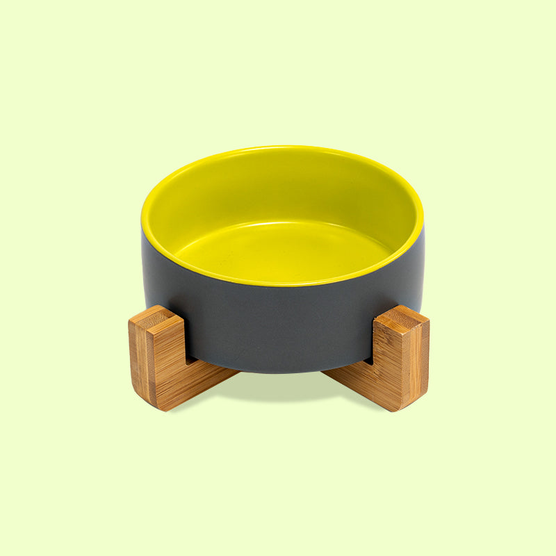 the front view of a grey-yellow clashing dog bowl on the stand in the yellow background