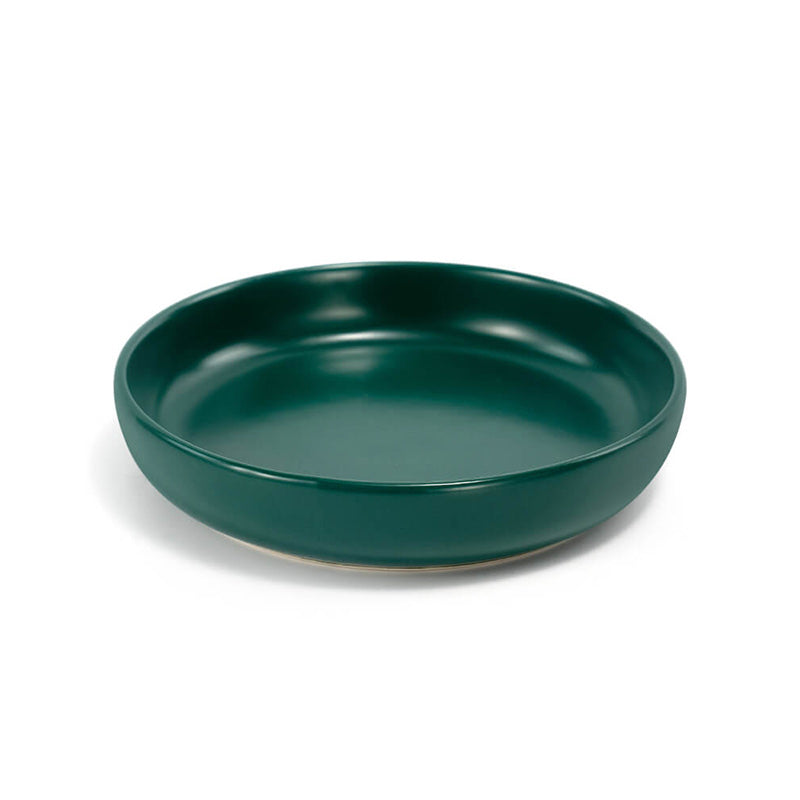 a green round cat dish