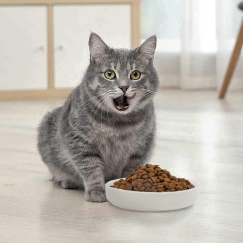 a cat eating cat food in a white round cat dish