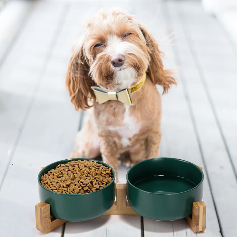 a set of green round ceramic dog bowls placed in front of a smiling puppy with a bow tie