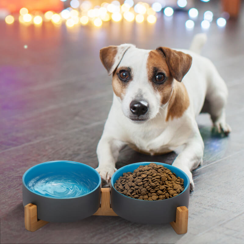 the grey-blue clashing dog bowl set containing water and food with a dog behind it