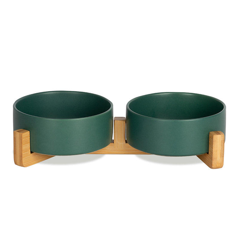 two green cute bowls for dogs as a cute dog bowl set