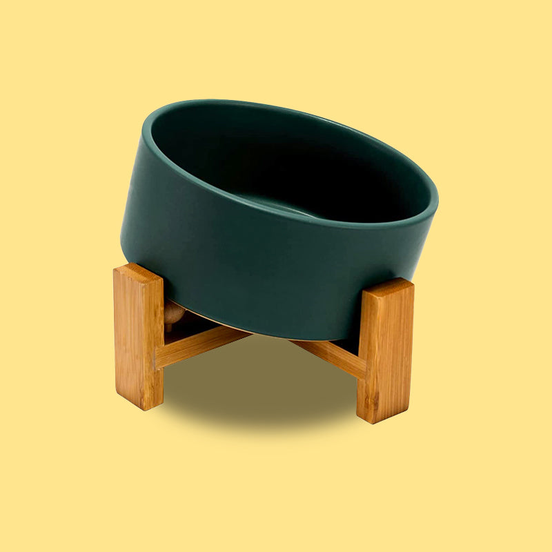 the green 15° tilted dog bowl in yellow background