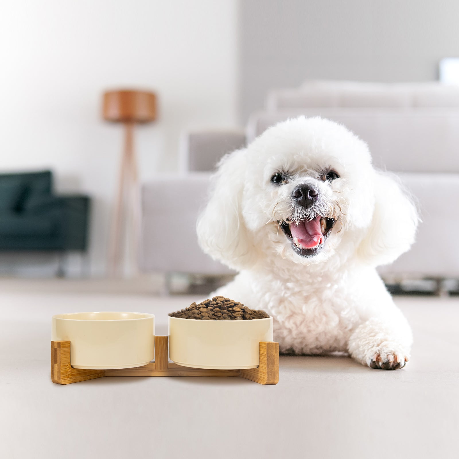 Stylish Dog Bowl Set