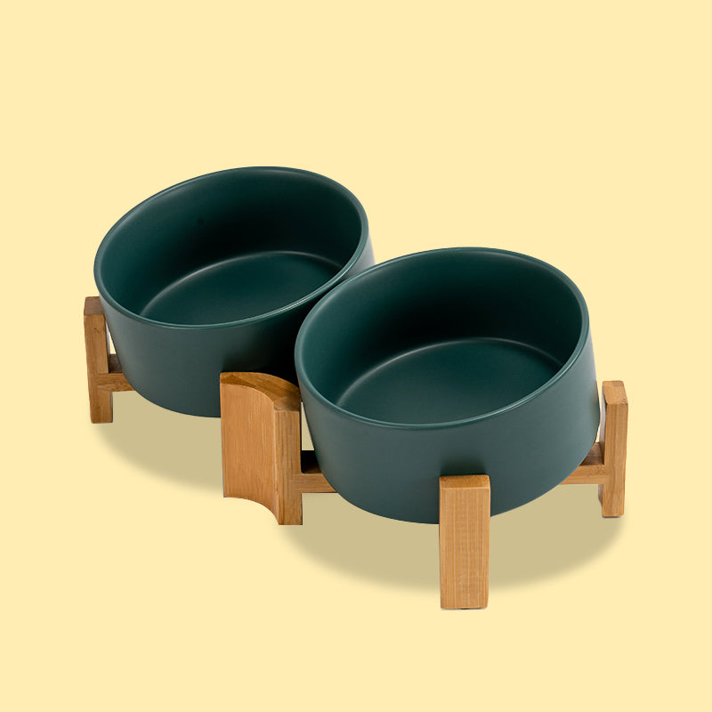 a set of green 15° tilted pet bowls in yellow background