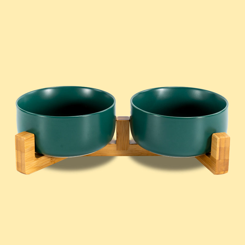 the front view of the green round ceramic dog bowl set in the yellow background