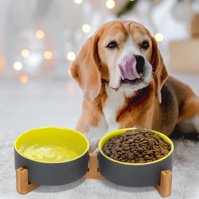 a dog licking its nose behind the grey-yellow clashing dog bowl set filled with water and food