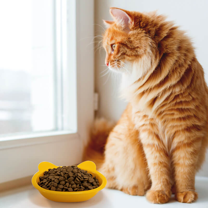 a yellow cat-shaped cat dish filled with food next to an orange cat with long hair