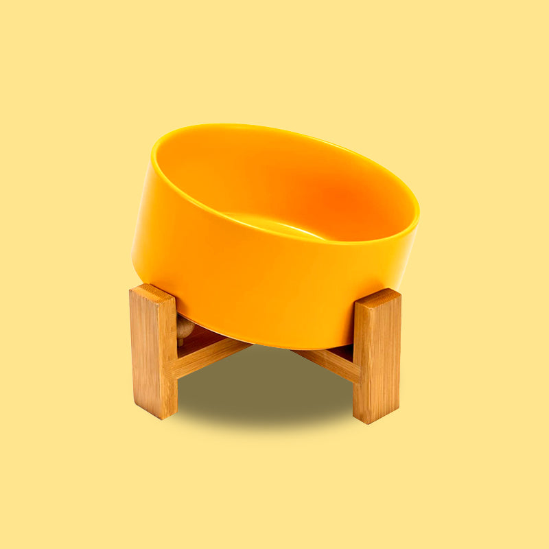a yellow 15° slanted dog bowl in yellow background